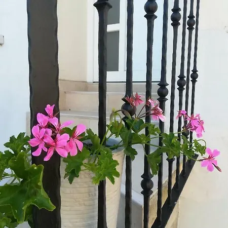 Апартаменты Apartman Zulic