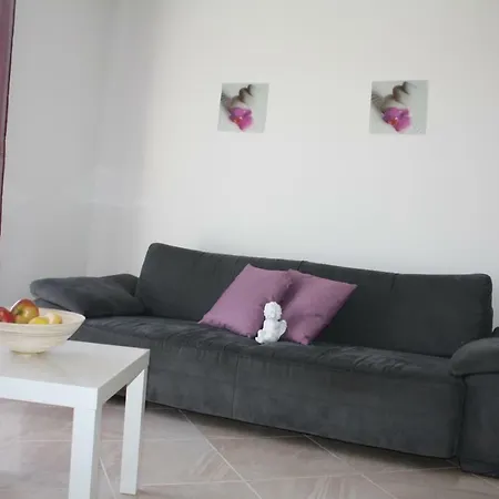 Apartman Zulic *
